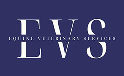 Equine Veterinary Services